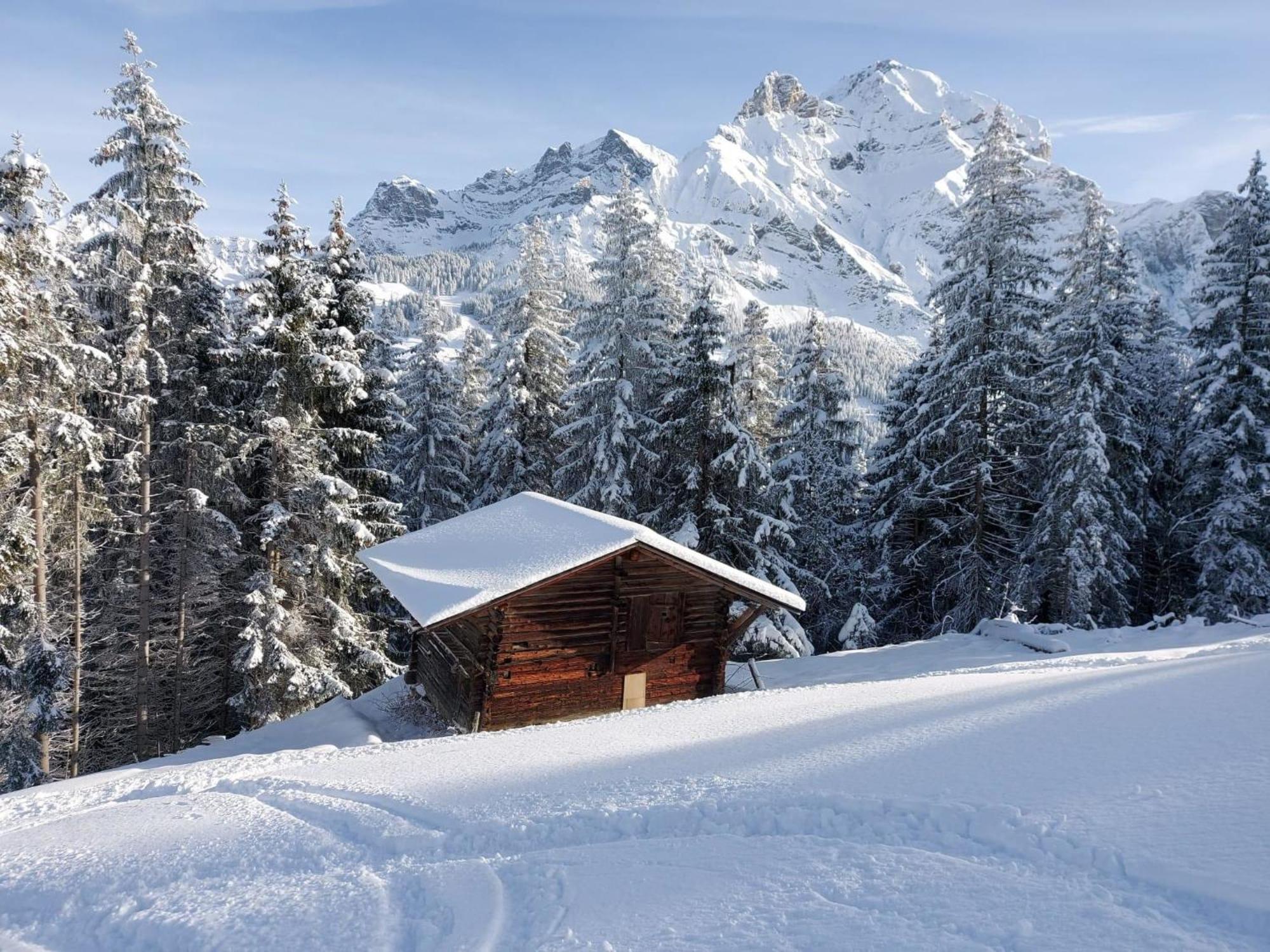 Apartment Laerchehuus By Interhome Adelboden Exteriér fotografie