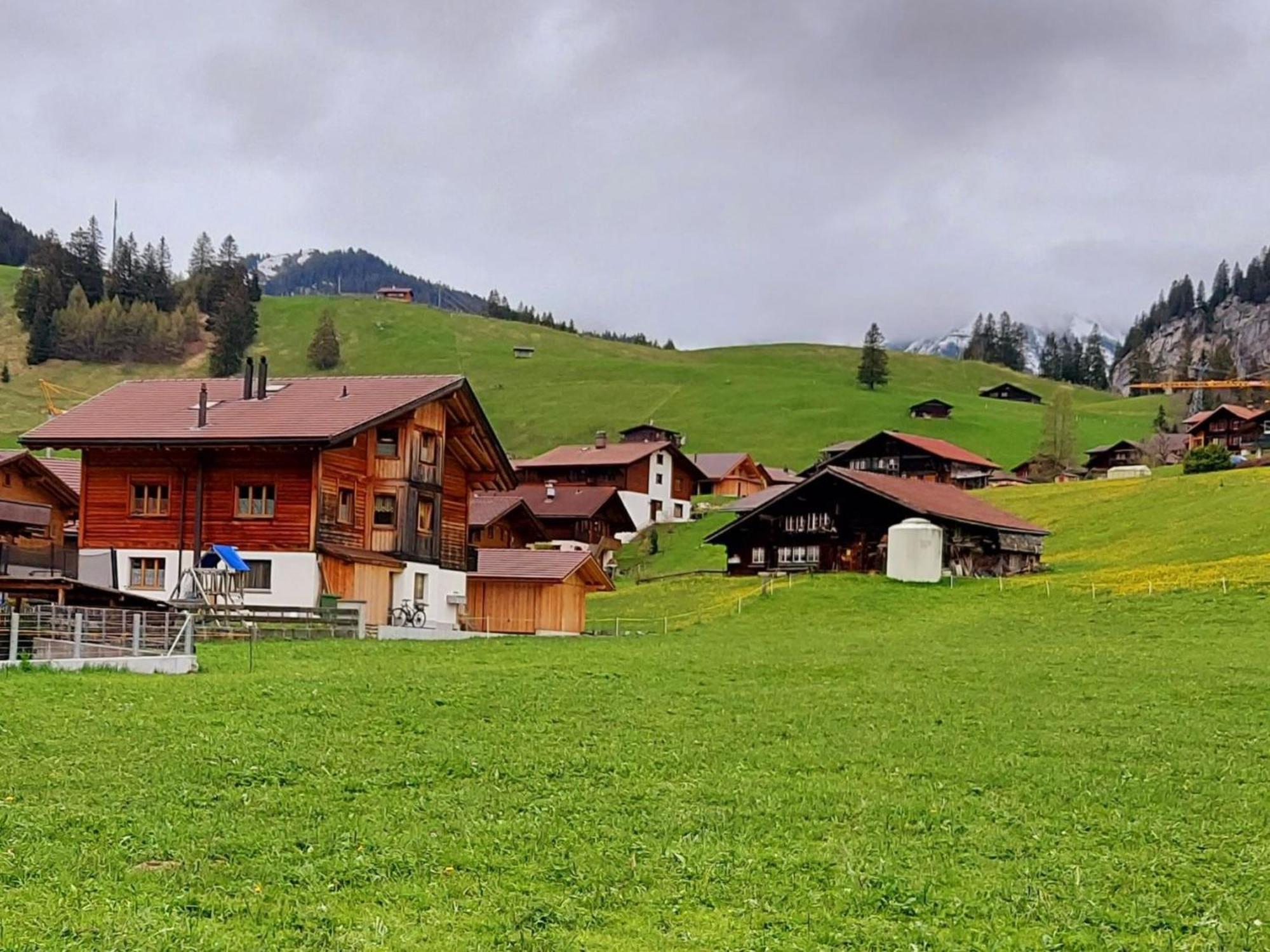 Apartment Laerchehuus By Interhome Adelboden Exteriér fotografie
